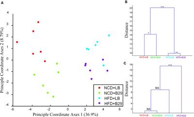 Regulated Inflammation and Lipid Metabolism in Colon mRNA Expressions of Obese Germfree Mice Responding to Enterobacter cloacae B29 Combined with the High Fat Diet